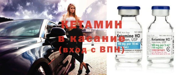 гашик Алексин