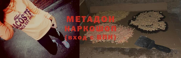 гашик Алексин