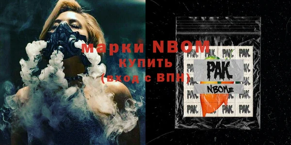 гашик Алексин