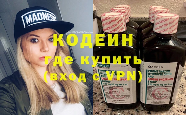 гашик Алексин
