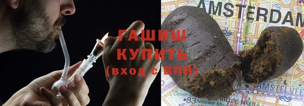 гашик Алексин