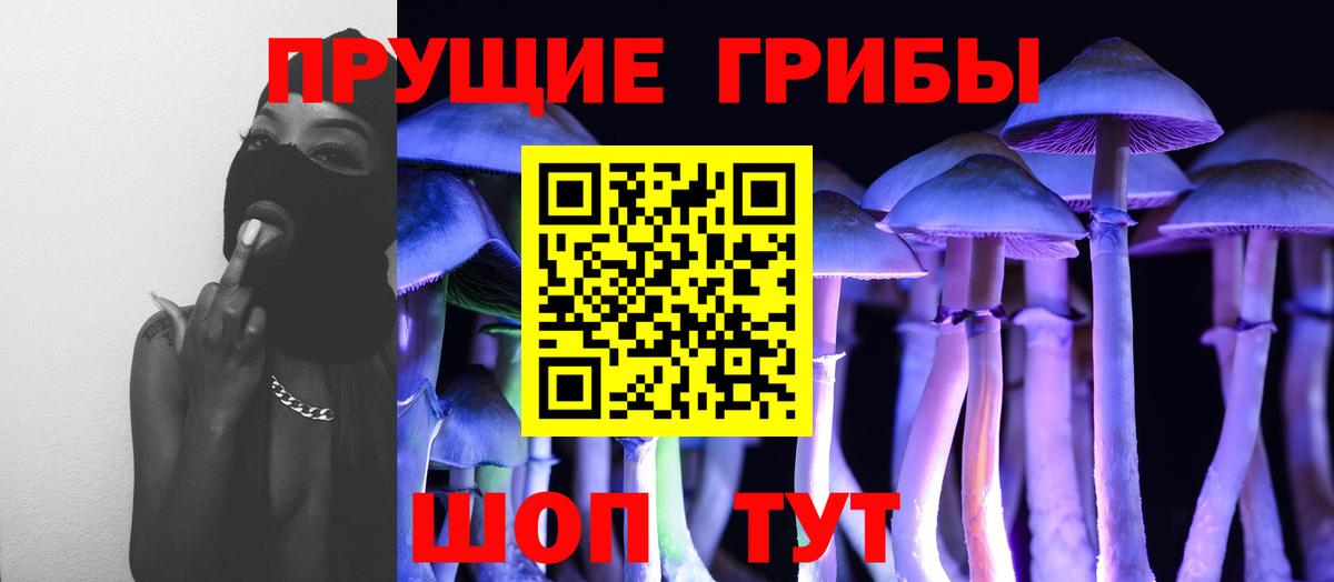 Псилоцибиновые грибы Psilocybine cubensis  Вход с VPN  Благовещенск 